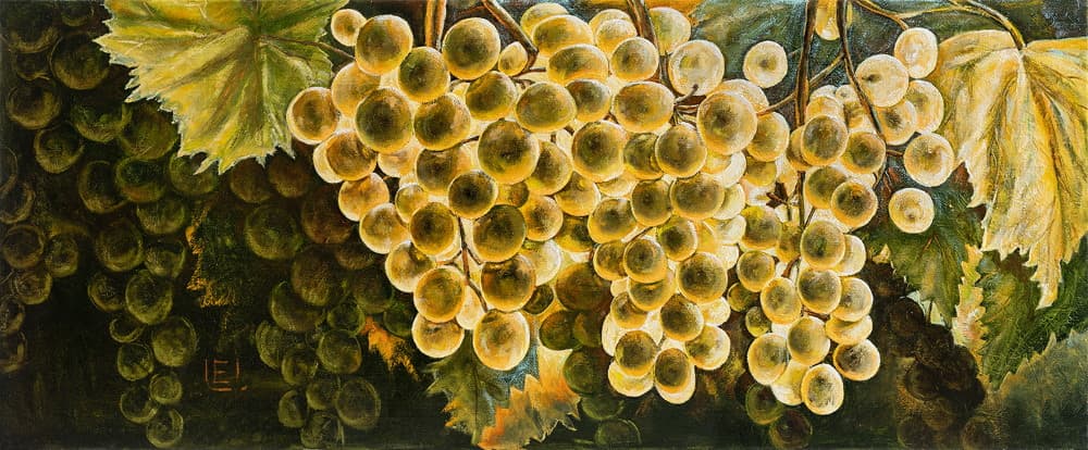 Winogrona — Eurika Urbonavičiūtė